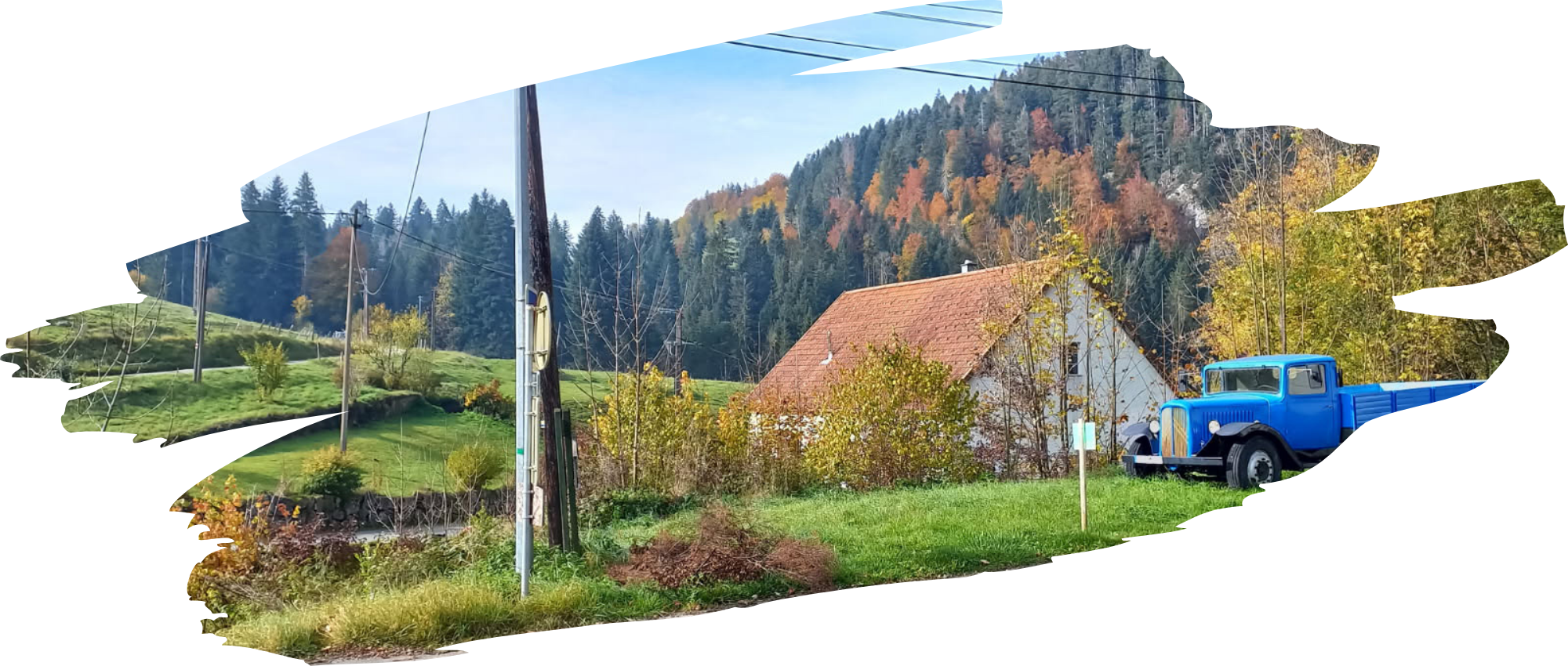 organic-farming-illustrations-01