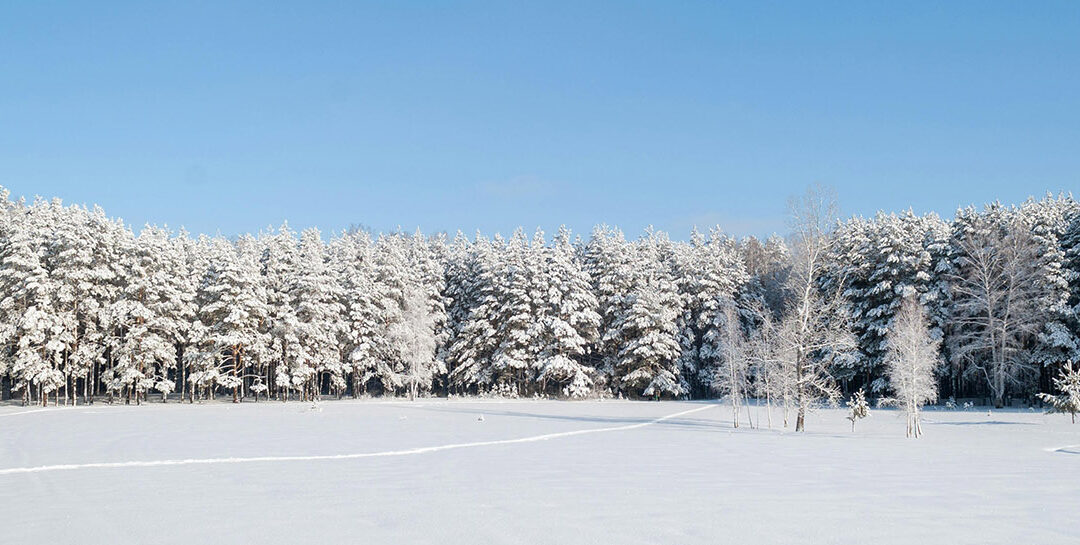 Le Jura en toutes saisons : pourquoi revenir toute l’année aux gîtes de Louadey